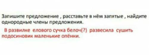 Найди однокоренные члены предложения в развилке елового с белочка развесила сушить подосиновик мален