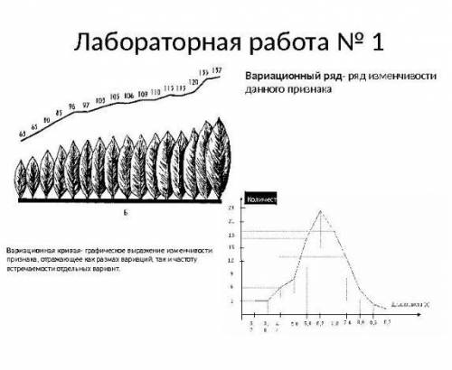 лабораторную сделать, 100 даю Лабораторная работа «Построение вариационного ряда и вариационной крив