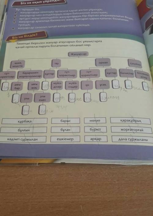 Иөменде берілген жануар атауларын бос ұяшықтарға қалай орналастыруға болатынын ойланып кор көмектесі