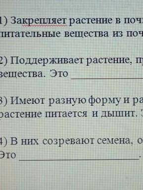 Поддерживает растение в почве. Поглощает воду и питательные вещества из почвы.Это​