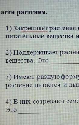 Закрепляет растение в почве. поглощает вода и питательные вещества из почвы. это​