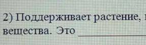 Поддерживает растение, проводит воду и питательные вещества, это​