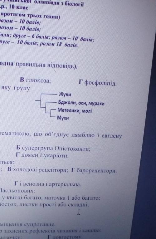 Розгляньте запропоновану кладу і визначте, яку групу утворюють метелики, молі і мухиА) монофілетичну