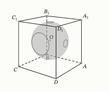 Внутри куба ABCDA1B1C1D1 расположен центр O сферы радиуса 20. Сфера пересекает грань AA1D1D по окруж