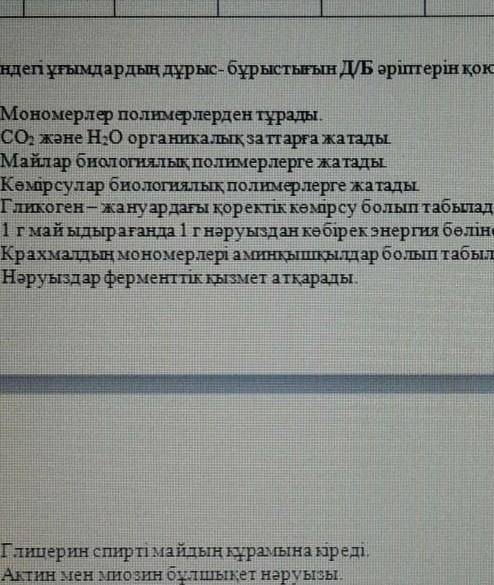 Дұрыс бұрыс екенін айтындаршы берем​