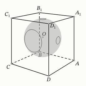 Внутри куба ABCDA1B1C1D1 расположен центр O сферы радиуса 20. Сфера пересекает грань AA1D1D по окруж