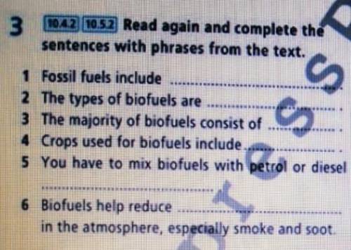 Read again and complete the sentences with a word or phrase from the text.​