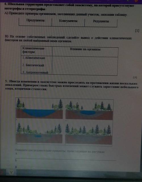 4.Школьная территория представляет собой экосистему,на которой присутствуют автотрофы и гетотрофы. А