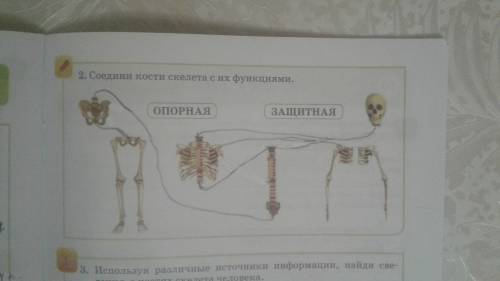 Правильно или нет Ваша версия правильное