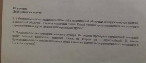 написать ответы на вопросы по гистологии Буду благодарна.