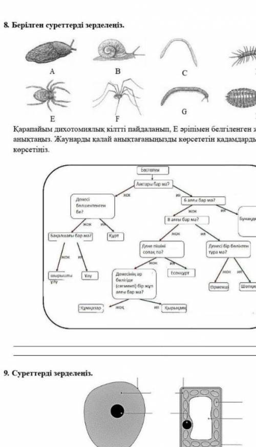 Биология 7 класс 1 Четверть СОЧ​