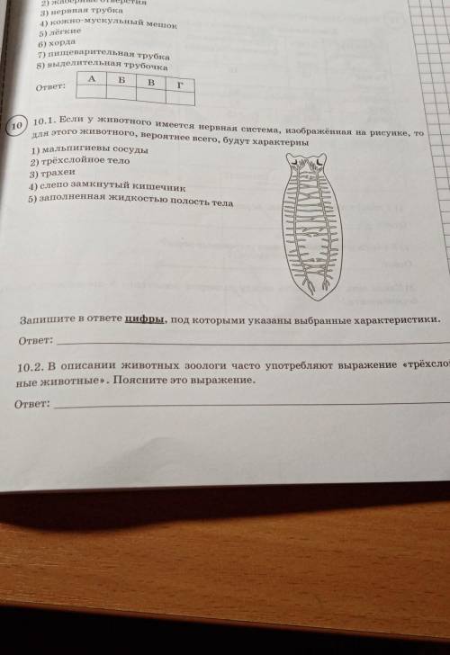 Сделайте задание 10.1 и 10.2​