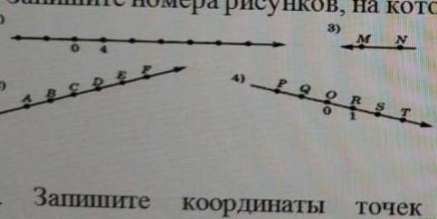 Запишите номера рисунков, на которых изображены координатные прямые​