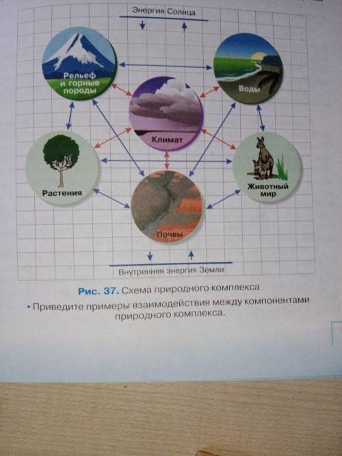 б. Приведите примеры взаимодействия между компонентами природного комплекса по этой схеме