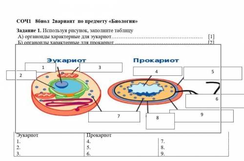 Посогите соч по биологии