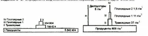 Определите вид экологических пирамид. Укажите одно отличие​
