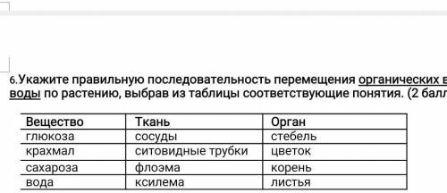 Укажите правильную последовательность перемещения органических веществ и воды по растению, выбрав из