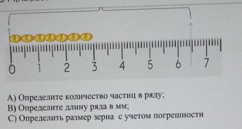 определите количество частиц виду. Определите длину ряда. миллиметрах определить размер зерна с учет