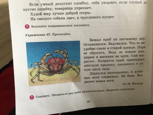 Упражнения 57Бежал краб по песчаному дну.Остановился.