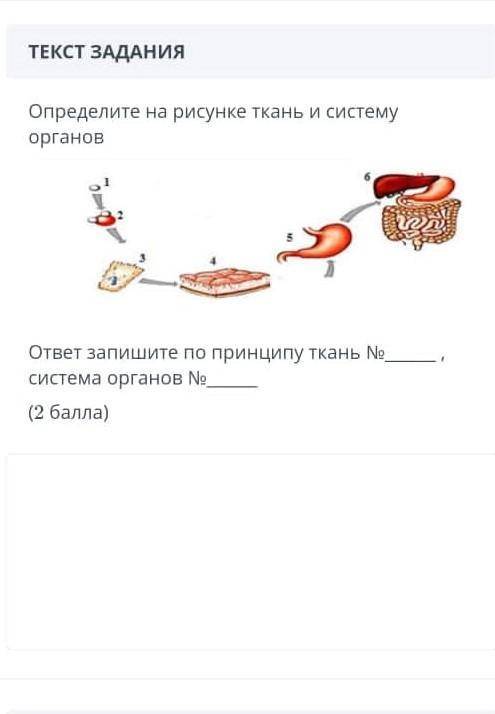 Даю 35 нужно отдал все свой балы​