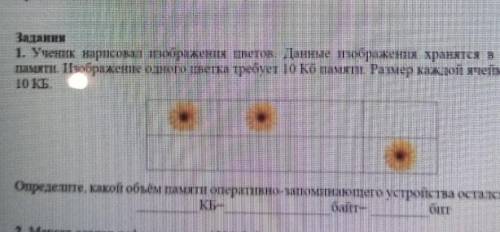 1. Ученик нарисовал изображентся цветов. Данные изображения хранятся в оперативной памяти. Ізображен