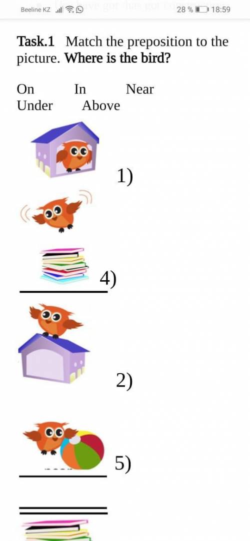 Match the preposition to the picture. where is the bird?