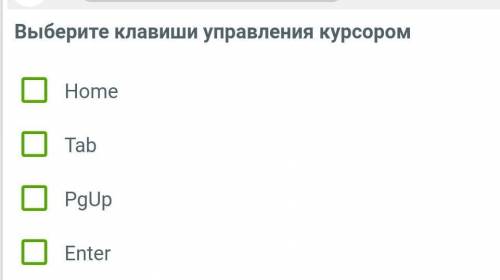 Как называется клавиатура которая управляет курсосом?​