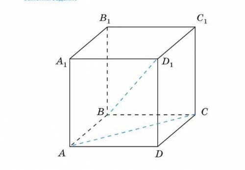 На рисунке изображён куб,докажите что прямые: б)A1D1 и DC в)AC и BD1 являются скрещивающимися