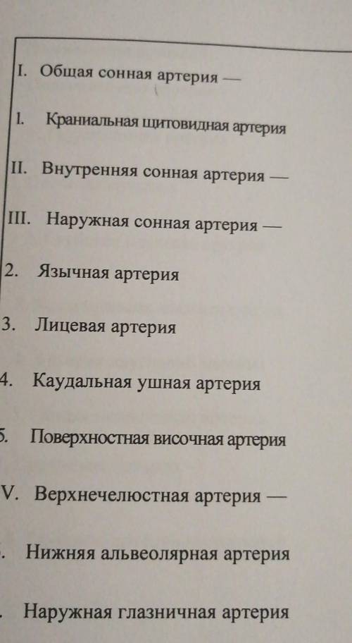 Сосуды головы и грудной конечности. Сосуды грудной и брюшной полостей 1. Пользуясь учебником, предла