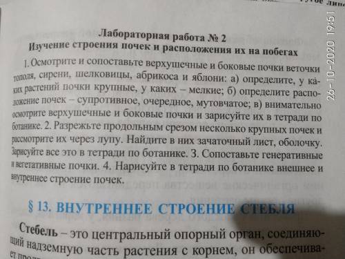 Дом кто ответ не все вопросы ответе на все вопросы а не на один из них