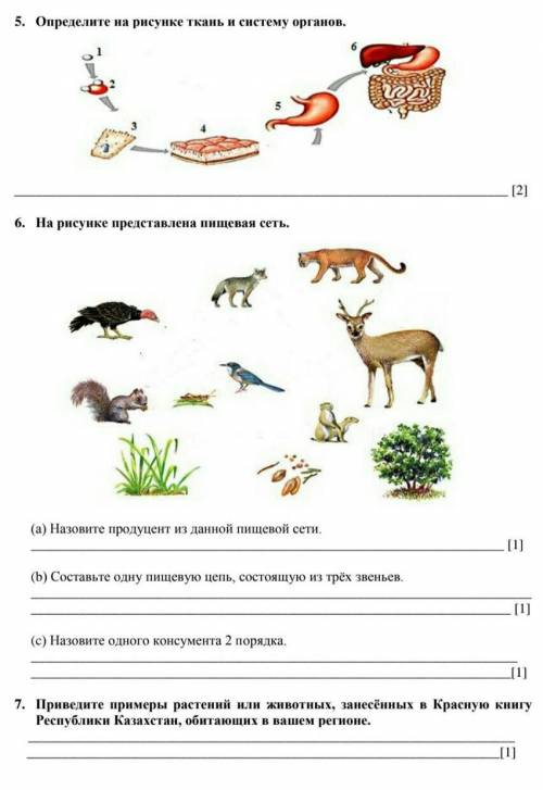 Соч по биологии 7 класс