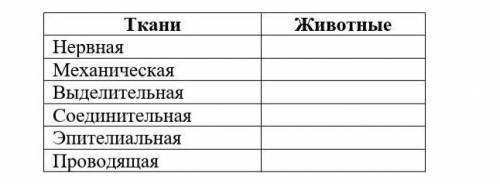 3. Классифицируйте ткани животных, используя знаки «+» и 《-》​