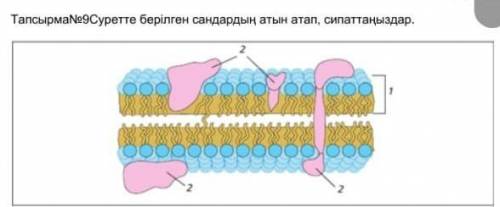 Тапсырма№9Суретте берілген сандардың атын атап, сипаттаңыздар.​