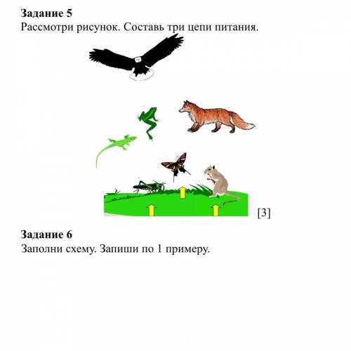 Заполни схему. Запиши по одному примеру. 6 задание