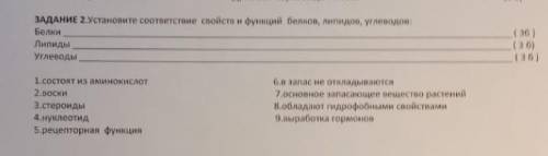 .Установите соответствие свойств и функций белнов, липидов, углеводов? Белки Липиды (36) Услеводы 1.