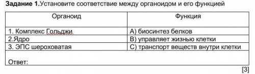 Установите соответствие между органоидом и его функцией​