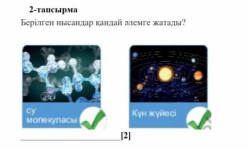 ответ у меня ТЖБ ответ​