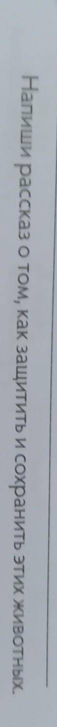 Напиши рассказ о том, как защитить и сохранить этих животных​