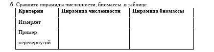 Сравните пирамиды численности, биомассы в таблице. Критерии Пирамида численности Пирамида биомассыИз