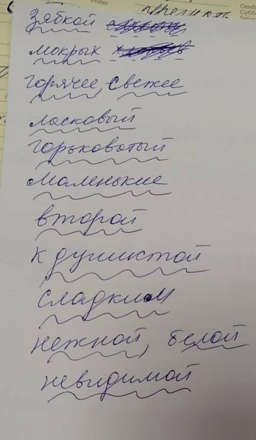 соч одно задание Определить их разряд (качественные, относительные, притяжательные​