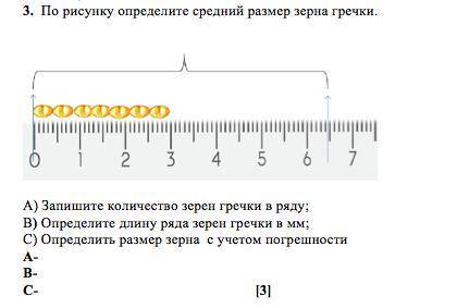 3. По рисунку определите средний размер зерна гречки. A) Запишите количество зерен гречки в ряду; В)