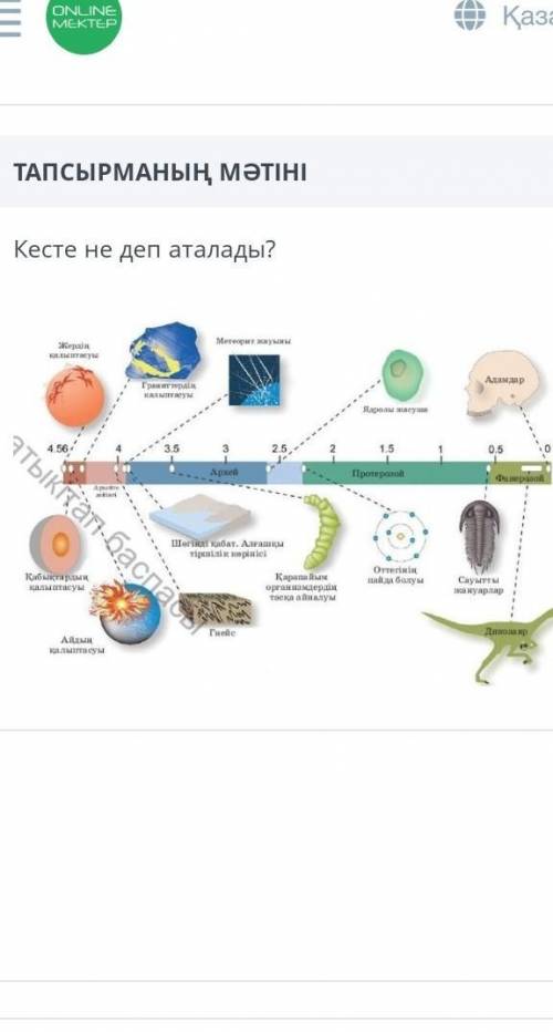 Кесте недеп аталады ​