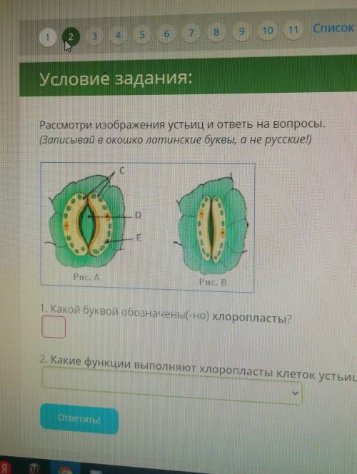 ответьте контрольная идёт ​