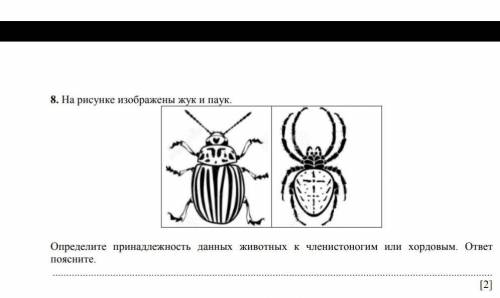 8. На рисунке изображены жук и паук. Определите принадлежность данных животных к членистоногим или х