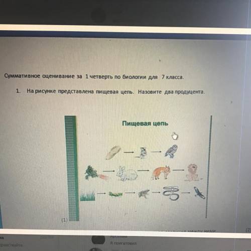Суммативное оценивание за 1 четверть по биологии для 7 класса. 1. На рисунке представлена пищевая це