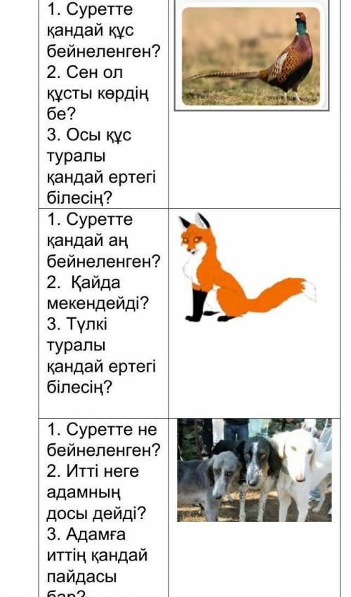 Сұрақтарға жауап беріңдер: 1. Суретте қандай құс бейнеленген?2. Сен ол құсты көрдің бе?3. Осы құс ту