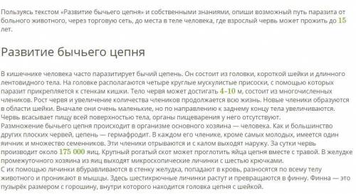 Пользуясь текстом «Развитие бычьего цепня» и собственными знаниями, опиши возможный путь паразита от