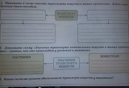 ЗНАЧЕНИЕ ТРАНСПОРТА ПИТАТЕЛЬНЫХ ВЕЩЕСТВ В ЖИВЫХ ОРГАНИЗМАХ, ОРГАНЫ, УЧАСТВУЮЩИЕВ ТРАНСПОРТЕ ВЕЩЕСТВ