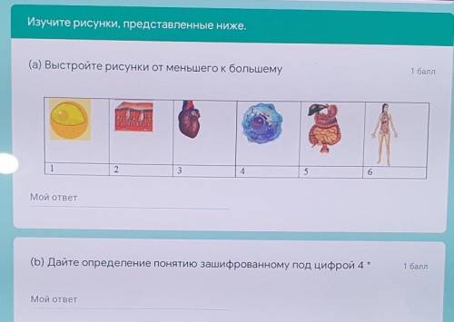 Изучите рисунки, представленные ниже. (а) Выстройте рисунки от меньшего к большему 123456Мой ответ(b