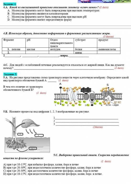 Прям нужно хоть с чем-нибудь